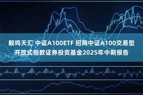 毅鸣天汇 中证A100ETF 招商中证A100交易型开放式指数证券投资基金2025年中期报告