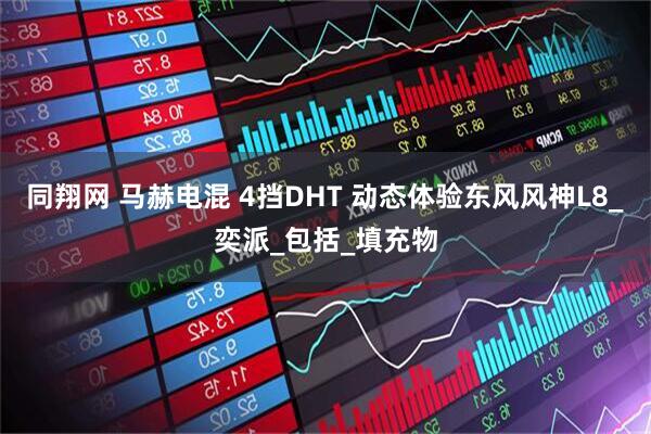 同翔网 马赫电混 4挡DHT 动态体验东风风神L8_奕派_包括_填充物