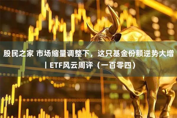 股民之家 市场缩量调整下，这只基金份额逆势大增丨ETF风云周评（一百零四）