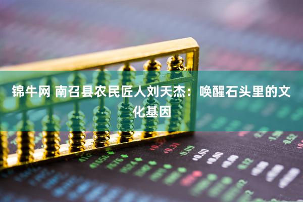 锦牛网 南召县农民匠人刘天杰：唤醒石头里的文化基因